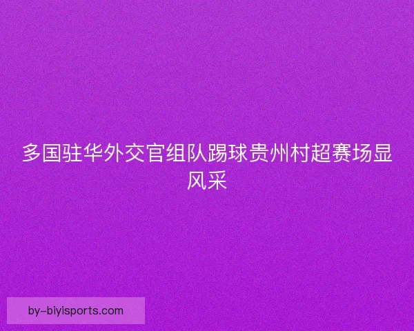 多国驻华外交官组队踢球贵州村超赛场显风采